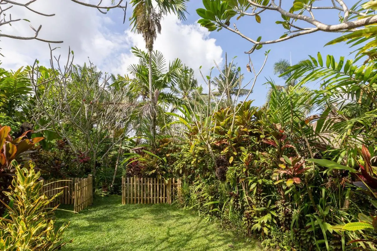Bed & Breakfast Bali Firefly Bnb Ubud