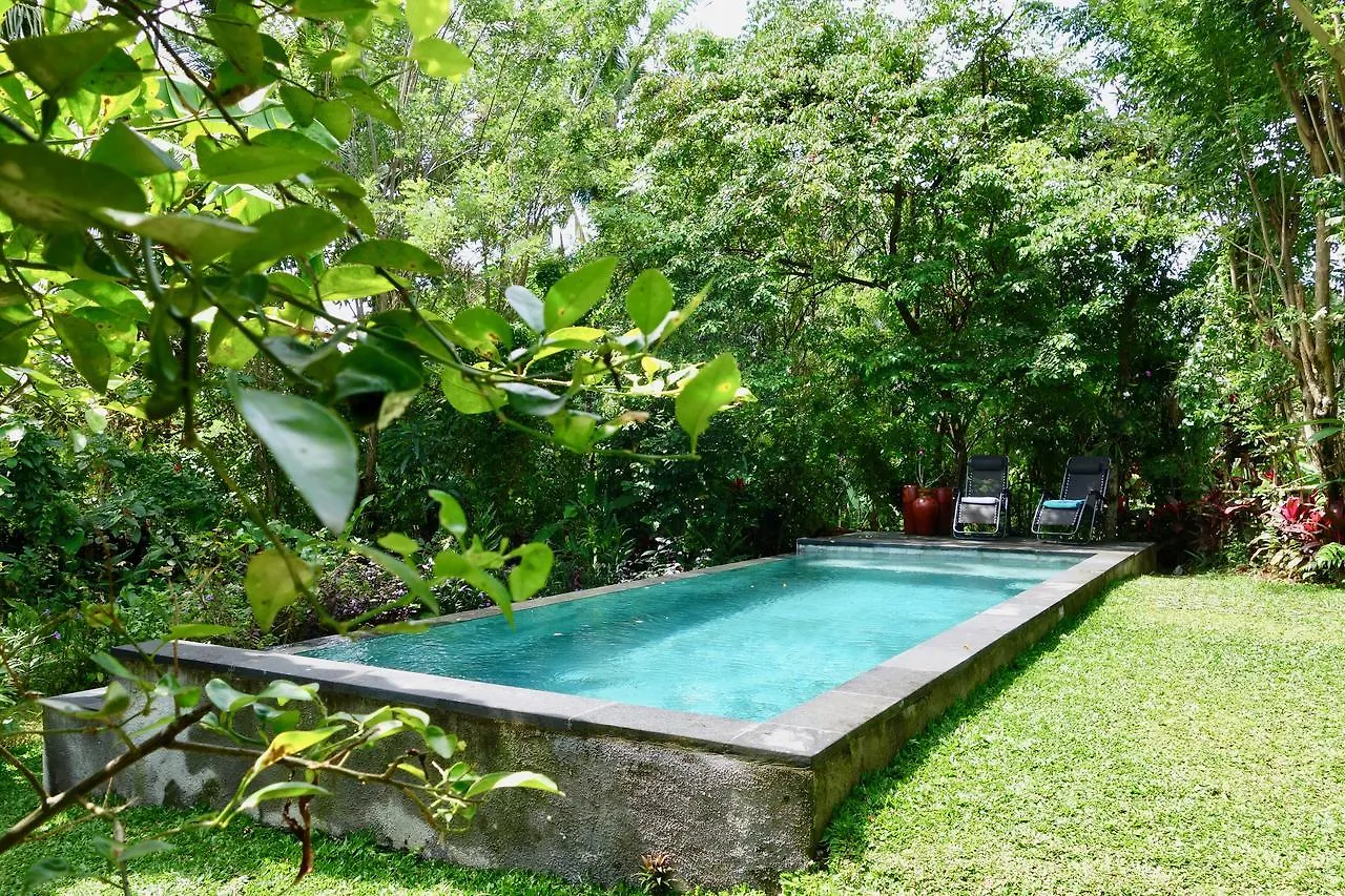 Bed & Breakfast Bali Firefly Bnb Ubud