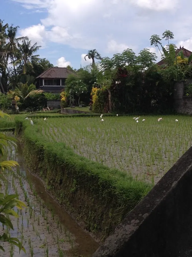 Bed & Breakfast Bali Firefly Bnb Ubud